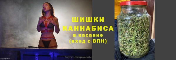 ПСИЛОЦИБИНОВЫЕ ГРИБЫ Арсеньев