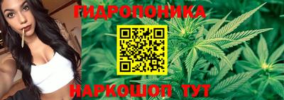 синтетический гашиш Будённовск