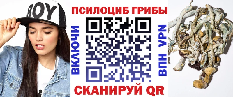 Галлюциногенные грибы ЛСД нарко площадка формула Майкоп наркотики hydra зеркало
