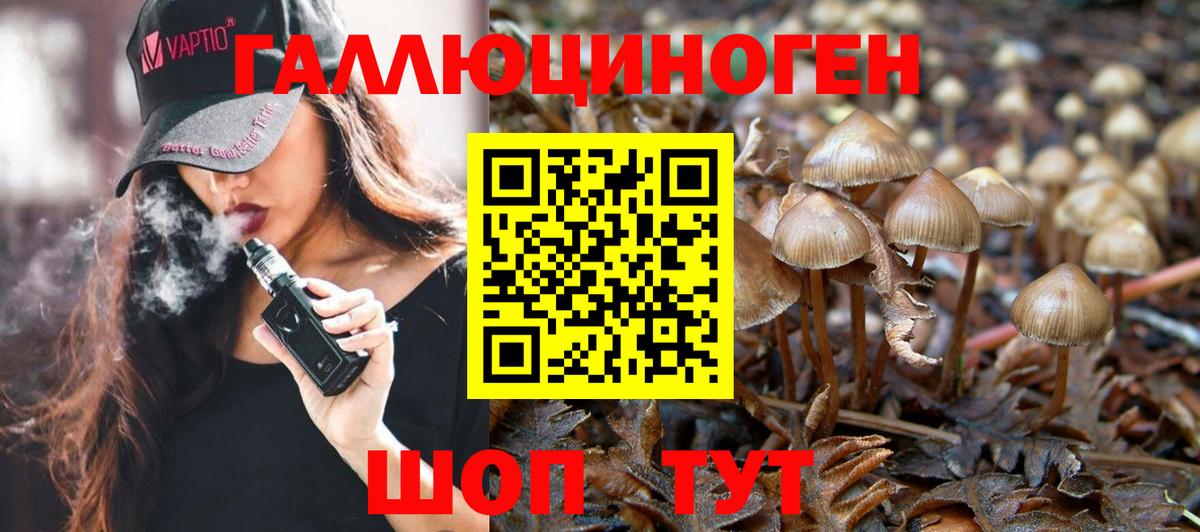 Майкоп  Псилоцибиновые грибы прущие грибы  Галлюциногенные грибы Psilocybine cubensis  Вход с VPN 