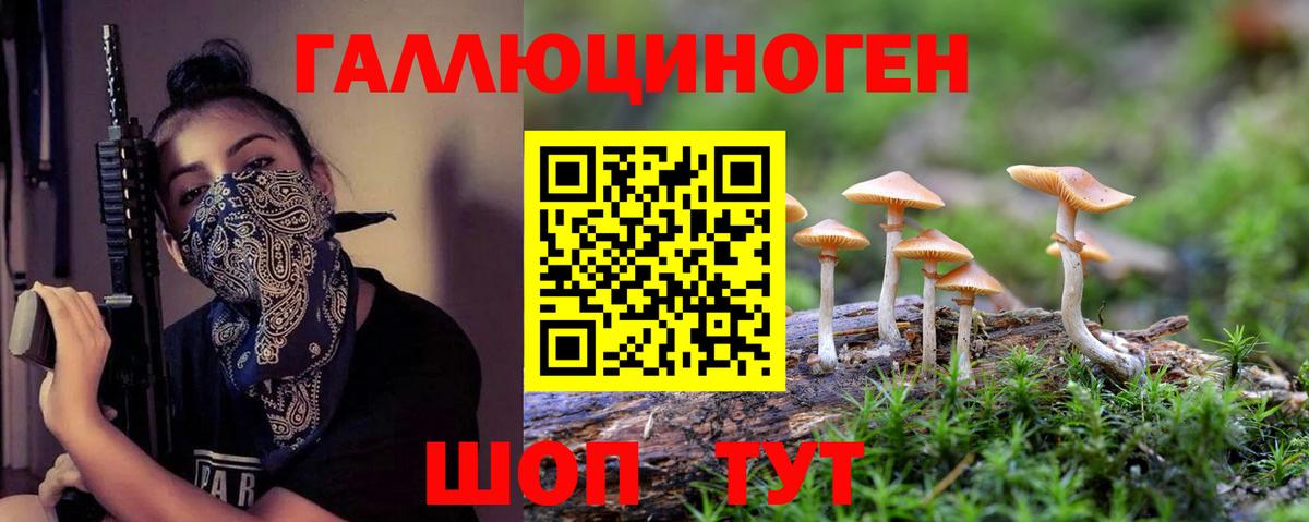Галлюциногенные грибы MAGIC MUSHROOMS Майкоп